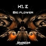 cover: Klz - Big Flower