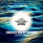 cover: Wess Vida - Endless Sea Of Dreams