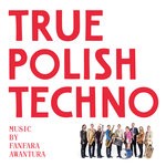 cover: Michael Mayer - Polka "Techno Dziadek"/True Polish Techno