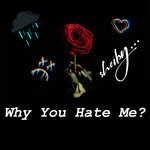 cover: Sheiby - Why You Hate Me