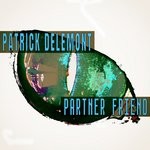 cover: Patrick Delemont - Partner Friend