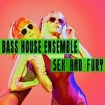 cover: Bass House Ensemble - Sex & Fury