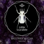 cover: Basstrieb Sascha - Hashtag