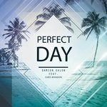 cover: Chris Brandon - Perfect Day