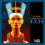 cover: Team Distant - F.F.H