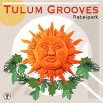 cover: Various - Tulum Grooves