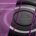 cover: Sound Of Salman - Migration