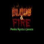 cover: Jawara - Blood & Fire