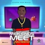 cover: Nicheeko - Endz Meet