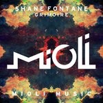 cover: Shane Fontane - Grimoire