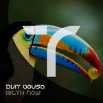 cover: Dvit Bousa - Rigth Now