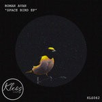 cover: Roman Avan - Space Birds EP