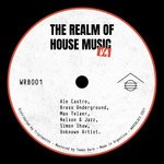 cover: Various - The Realm Of House Music