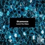 cover: Elcamooze - Catch The Vibes