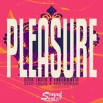 cover: Deep Koliis|Kastomarin - Pleasure