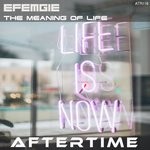 cover: Efemgie - The Meaning Of Life