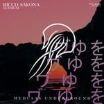 cover: Ricco Sakona - Elysium