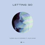 cover: David Shane|Thomas Gold - Letting Go