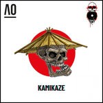 cover: Hilton Caswell - Kamikaze