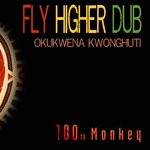 cover: 100th Monkey - Fly Higher Dub