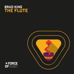 cover: Brad King - The Flute