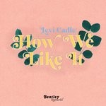 cover: Levi Cadle - How We Like It