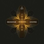 cover: Shivatree|Imaginarium - Reflections