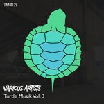 cover: Various - Turtle Musik Vol 3