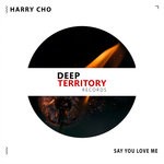 cover: Harry Cho - Say You Love Me