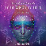 cover: Manic Brothers - It Is What It Is II