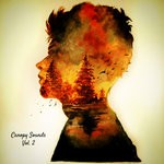 cover: Various - Canopy Sounds Vol 2