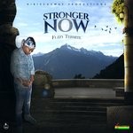 cover: Fuzzy Termite - Stronger Now