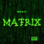 cover: Davo Da Man - Living In The Matrix (Explicit)