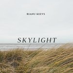 cover: Rianu Keevs - Skylight