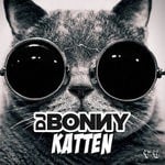 cover: Dj Bonny - Katten