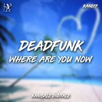 cover: Deadfunk - Where Are You Now