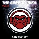 cover: Various - The Best Of Ibiza Vol 8 Compiled By Bad Monkey