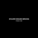 cover: Sylver House Bricks - Finish Him