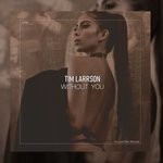 cover: Tim Larrson - Without You