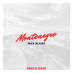 cover: Max Blaike - Montenegro (Original Mix)