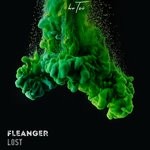 cover: Fleanger - Lost