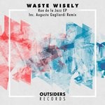 cover: Waste Wisely - Rue De La Jazz