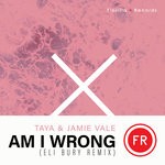 cover: Jamie Vale|Taya - Am I Wrong (Eli Bury Remix - Extended Mix)