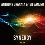 cover: Ted Ganung|Anthony Granata - Synergy