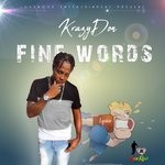 cover: Krazy Don - Find Words