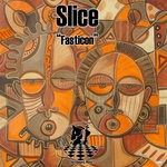 cover: Slice - Fasticon