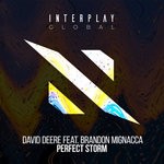 cover: Brandon Mignacca - Perfect Storm (Extended Mix)