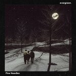 cover: Evergreen - Pine Needles