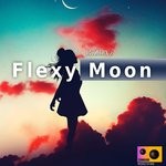 cover: Bizbaz - Flexy Moon