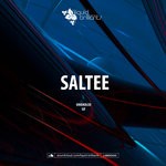 cover: Saltee - Unkindled